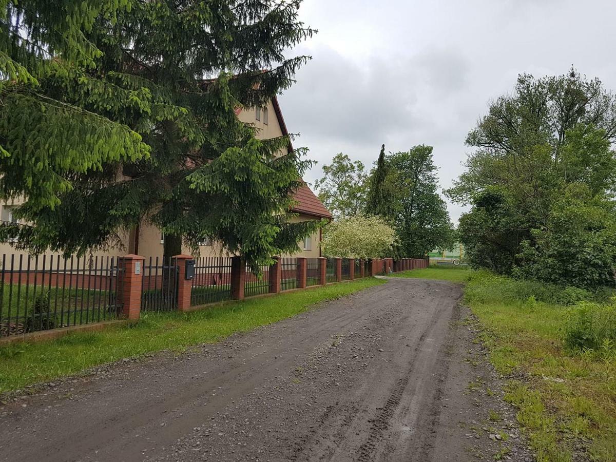 Lagodzinska *