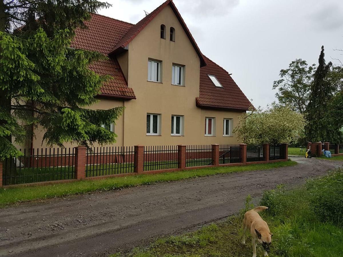 Homestay Lagodzinska